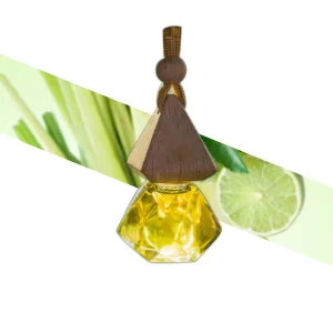 Car Air Essential Oil Diffuser
